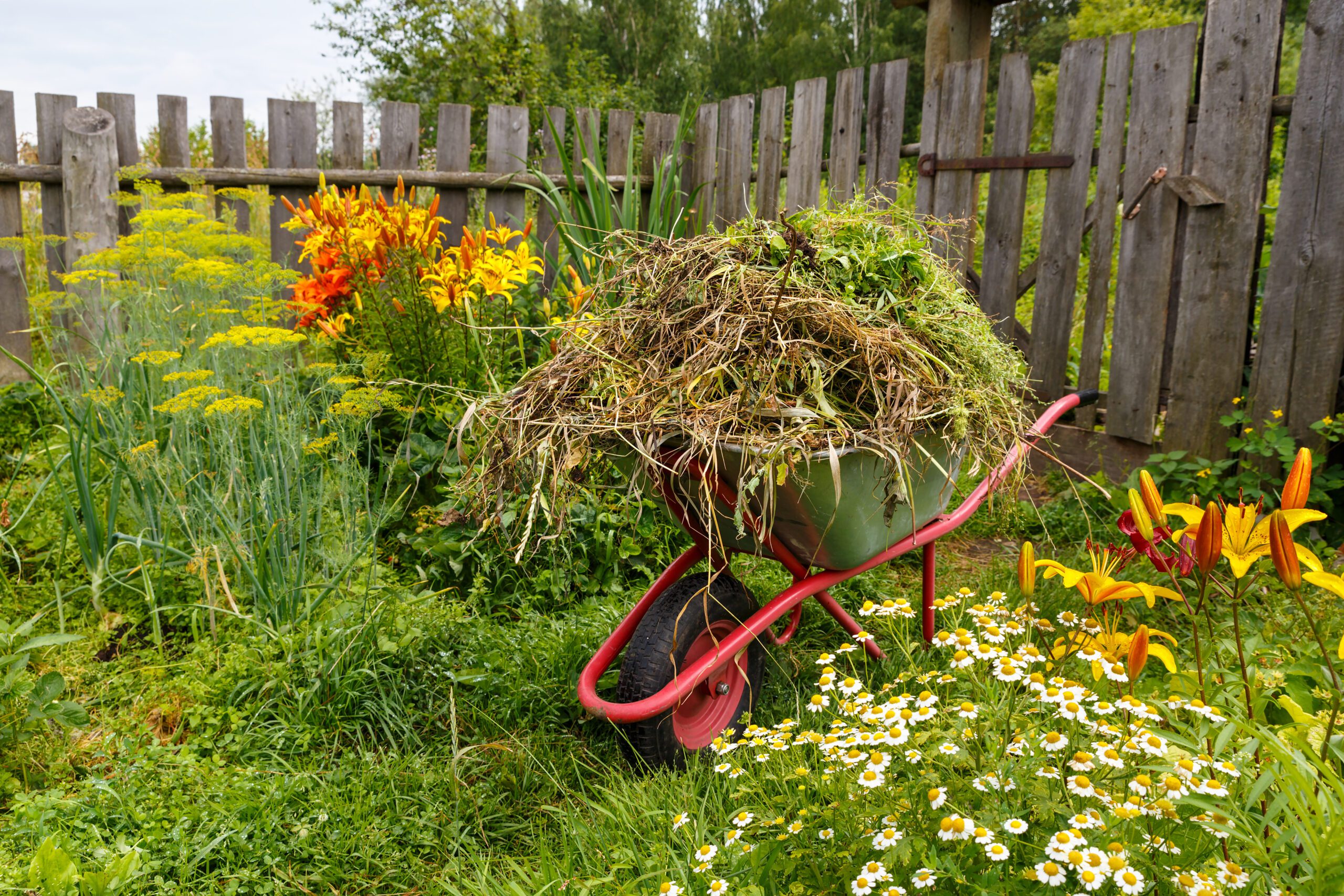 What You Need To Know About Yard Waste Disposal