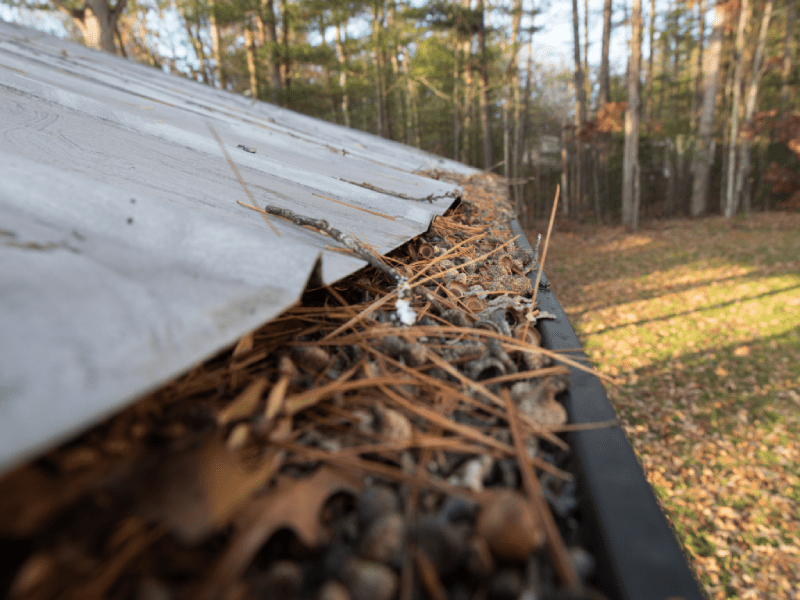 How To Safely Remove Fall Yard Junk And Waste