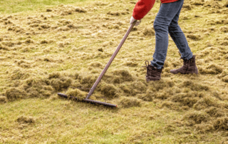 Spring Lawn Care And Debris Removal