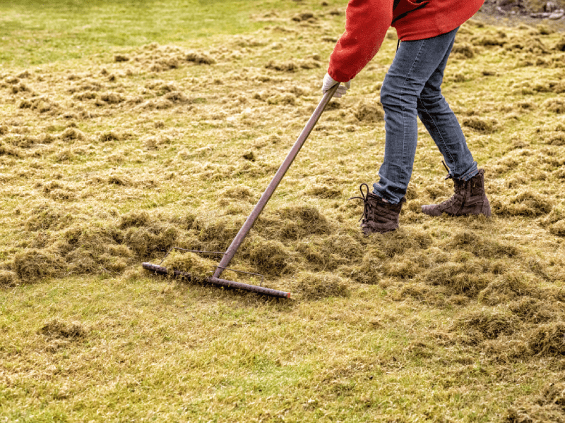 Spring Lawn Care And Debris Removal