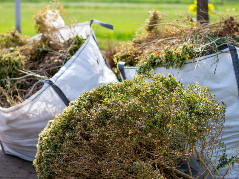 Options For Yard Waste Removal