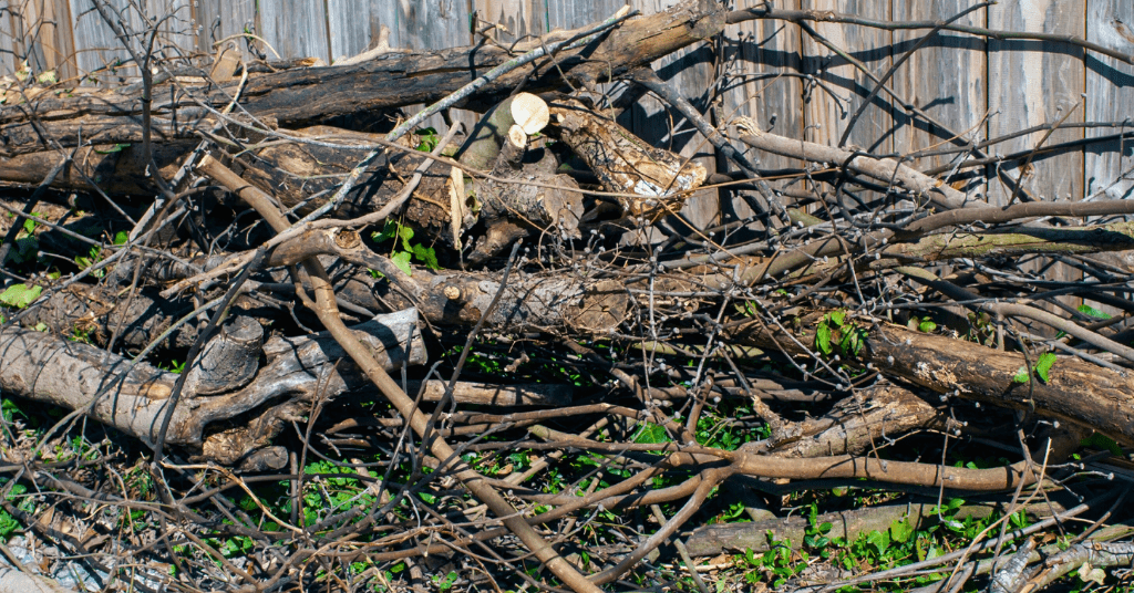 Pile of tree branches, limbs, and logs stacked against a fence awaiting professional tree debris removal in Oklahoma City.